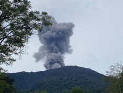 Hewan Marapi Turun ke Pemukiman, Warga Cemas Bencana