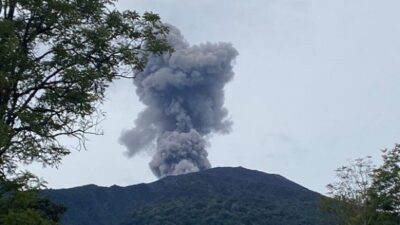 Hewan Marapi Turun ke Pemukiman, Warga Cemas Bencana