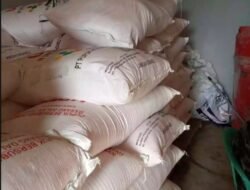 Harga Pupuk Bersubsidi di Kecamatan Banding Agung Melambung, Petani Mengeluh
